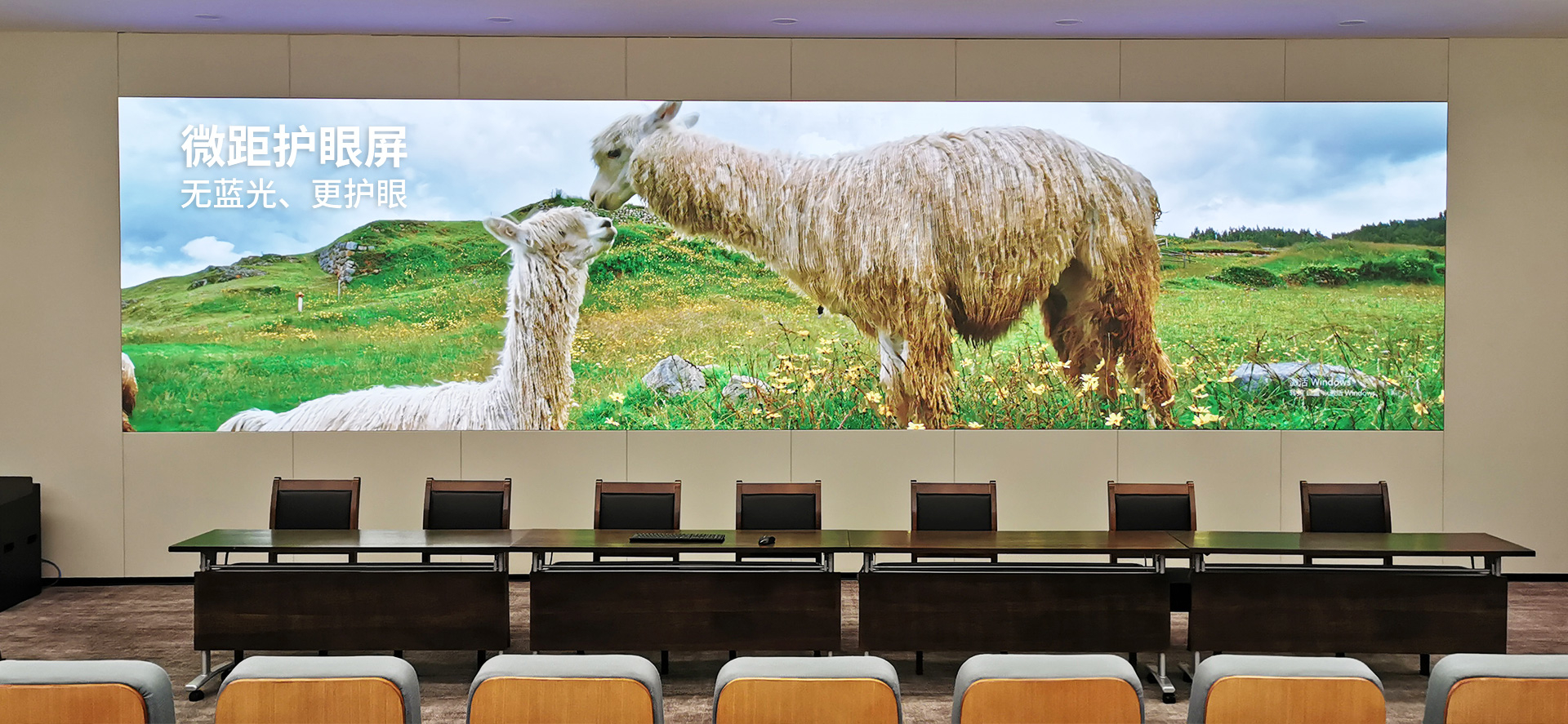 微距背投护眼屏        无蓝光、更护眼